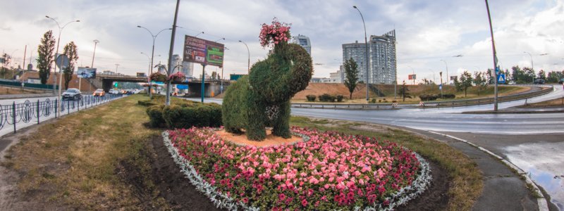 В Киеве на Оболони поселился зеленый мамонтенок