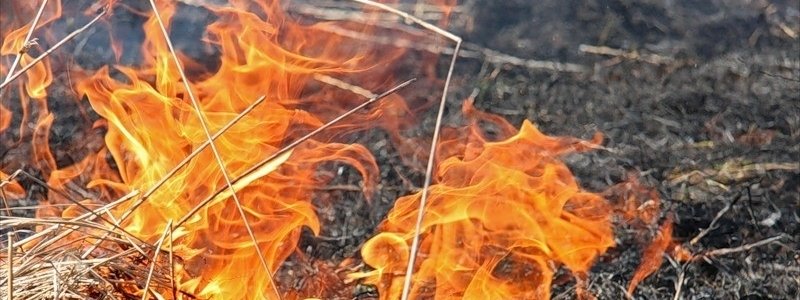 В Киеве призвали не устраивать пожары на природе