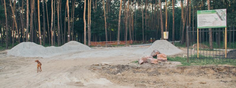 Реконструкции парка "Совки" в Святошинском районе Киева: как выглядит сейчас и что изменилось