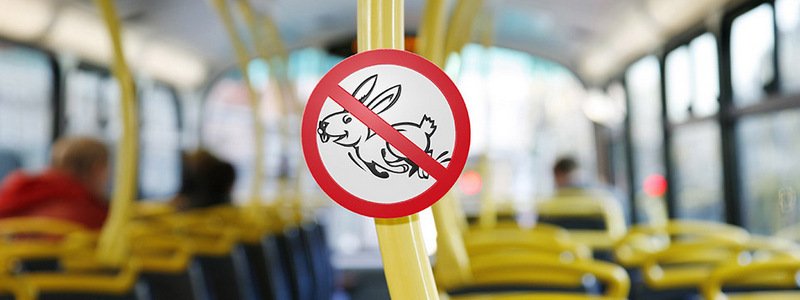 Отлов "зайцев" в общественном транспорте Киева: что делать, если вас поймали без билета