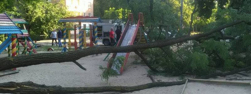 В Киеве на Отрадном огромное дерево упало на детскую площадку