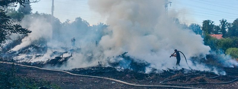 В Киеве на окраине парка "Сырецкий гай" тушат масштабный пожар