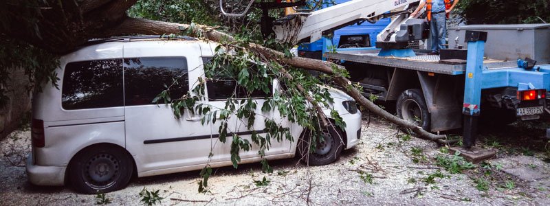 В Киеве на Куреневке дерево проломило бетонный забор и придавило Volkswagen Caddy