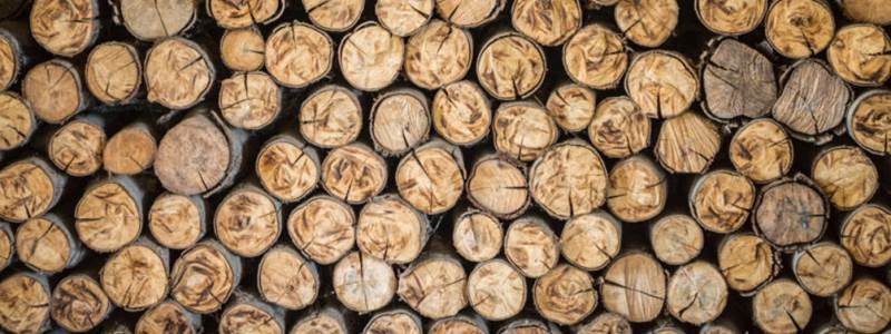 Президент заветував Закон про заборону експорту дров і криміналізацію контрабанди лісу-кругляка: чим це загрожує українцям