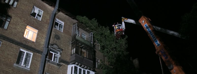 В Киеве на Нивках огромный тополь упал на жилой дом