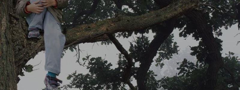 В Киеве семилетний мальчик застрял на дереве