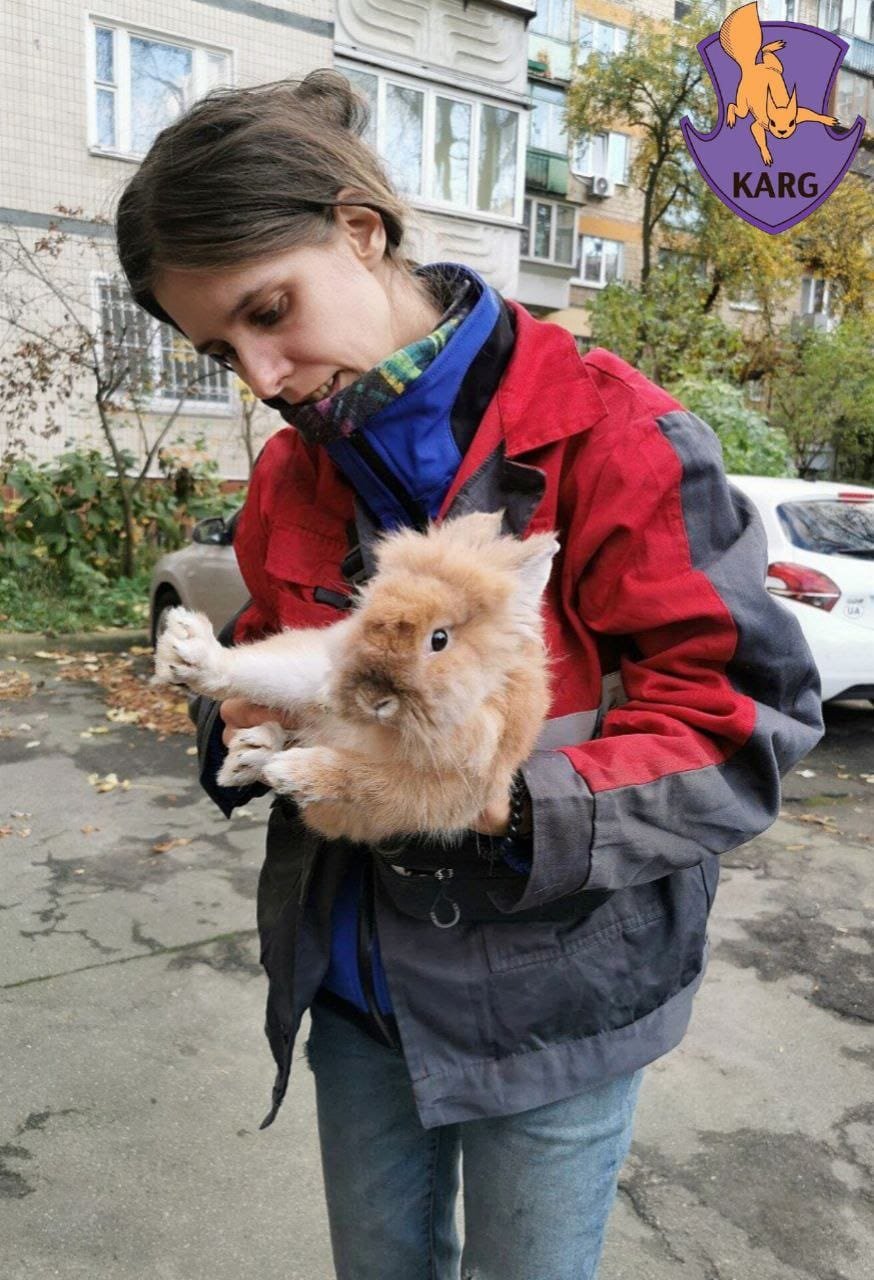 Двое бедолаг в пакете: в Киеве на помойку выбросили кролика и черепаху