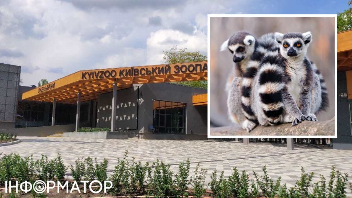 Животные зоопарка Киева