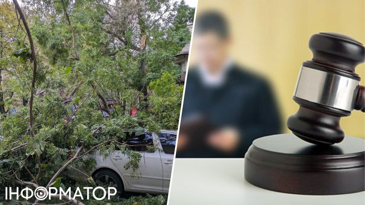 У Києві на три авто впала тополя: чи визнав суд винним Київзеленбуд