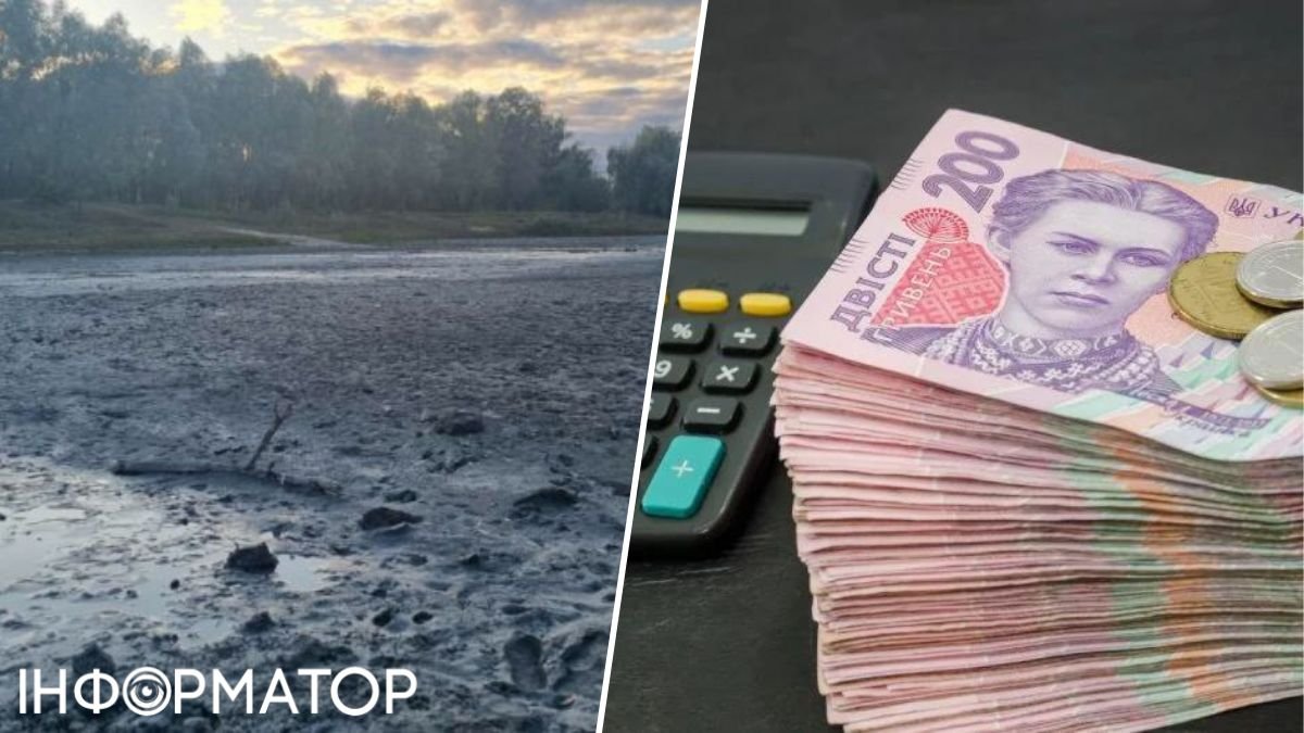 Новый тендер на расчистку озера Синее в Киеве могут объявить в этом году: что произошло с двумя предыдущими
