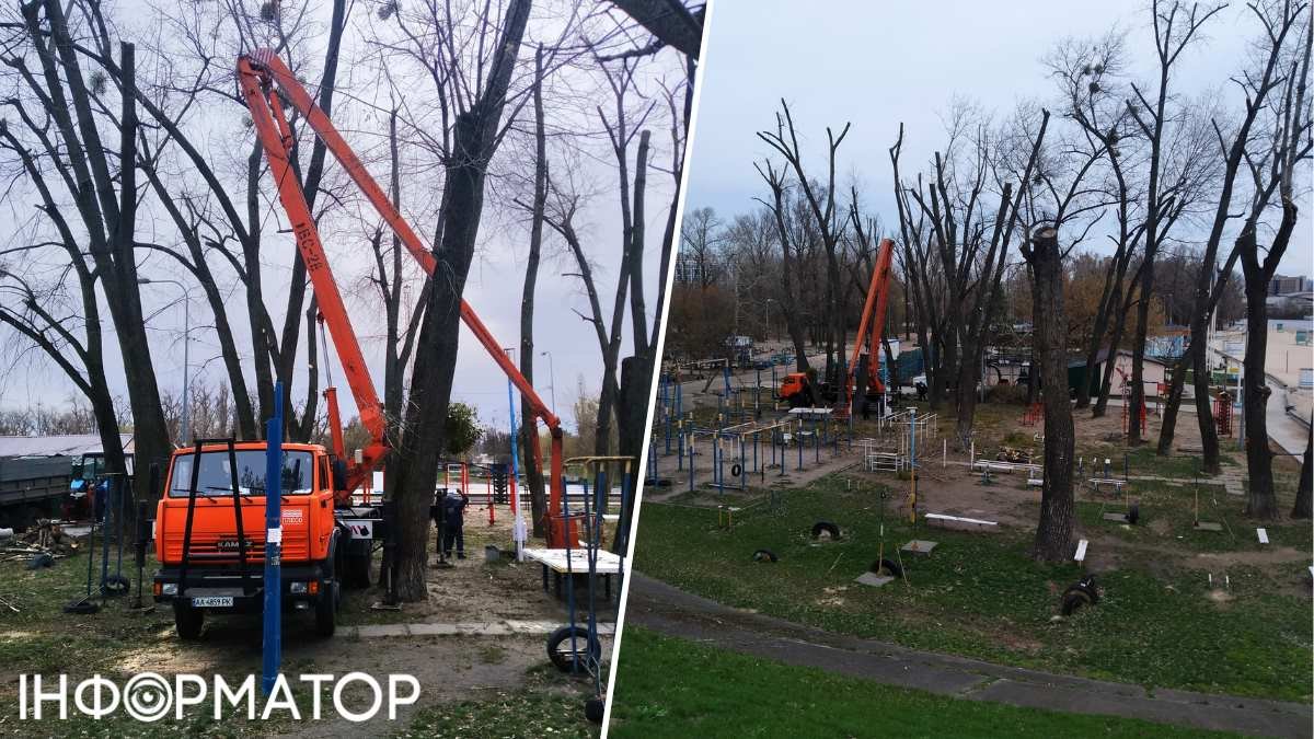 Ущерб от кронирования деревьев коммунальщиками Киева