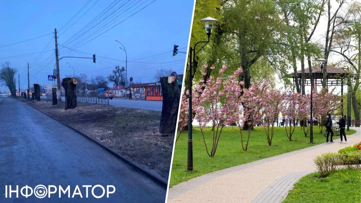 Зрізання дерев на Київщині