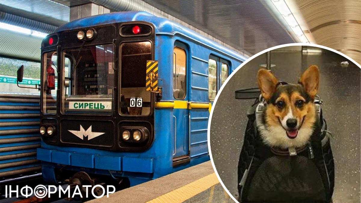 Перевоз собак в метро Киева