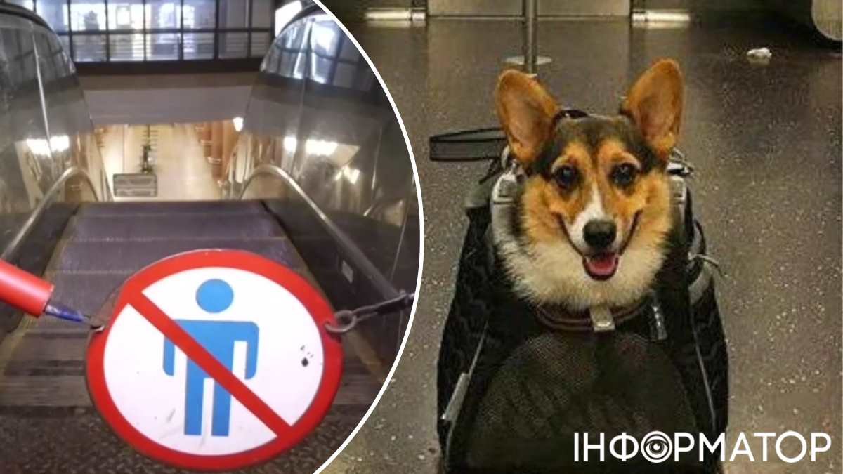 Проїзд з собаками у метро