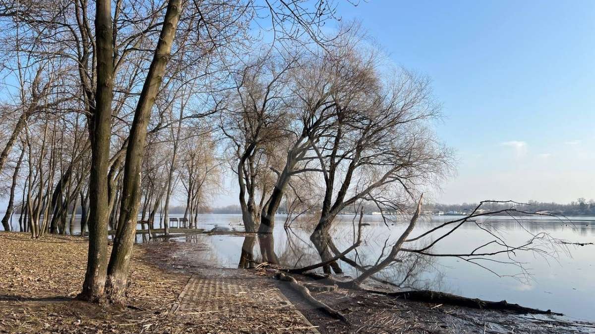 Затоплено берегову лінію парку