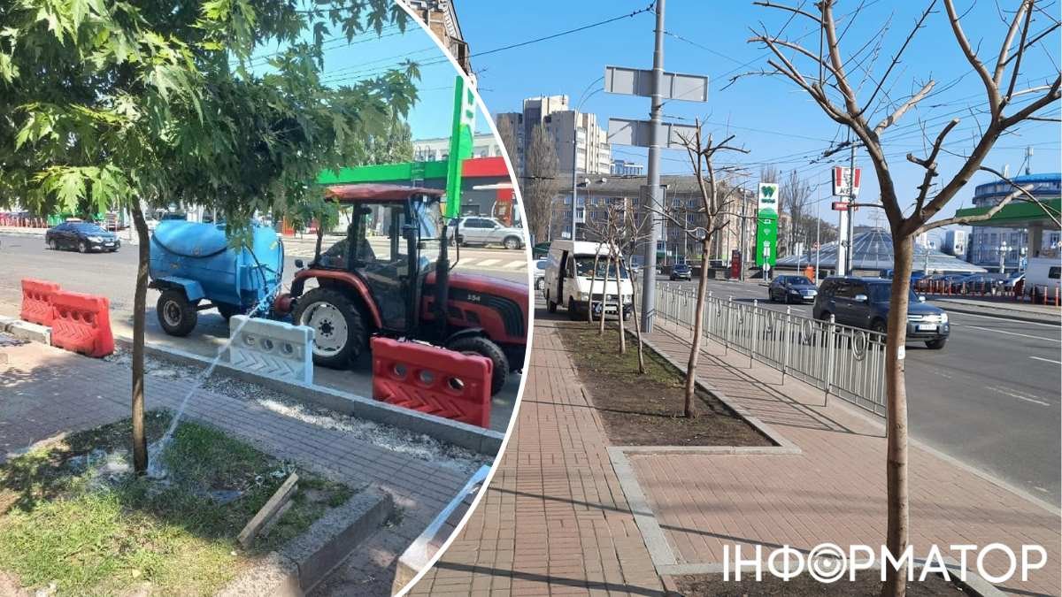 Коммунальщики кронируют деревья в Киеве