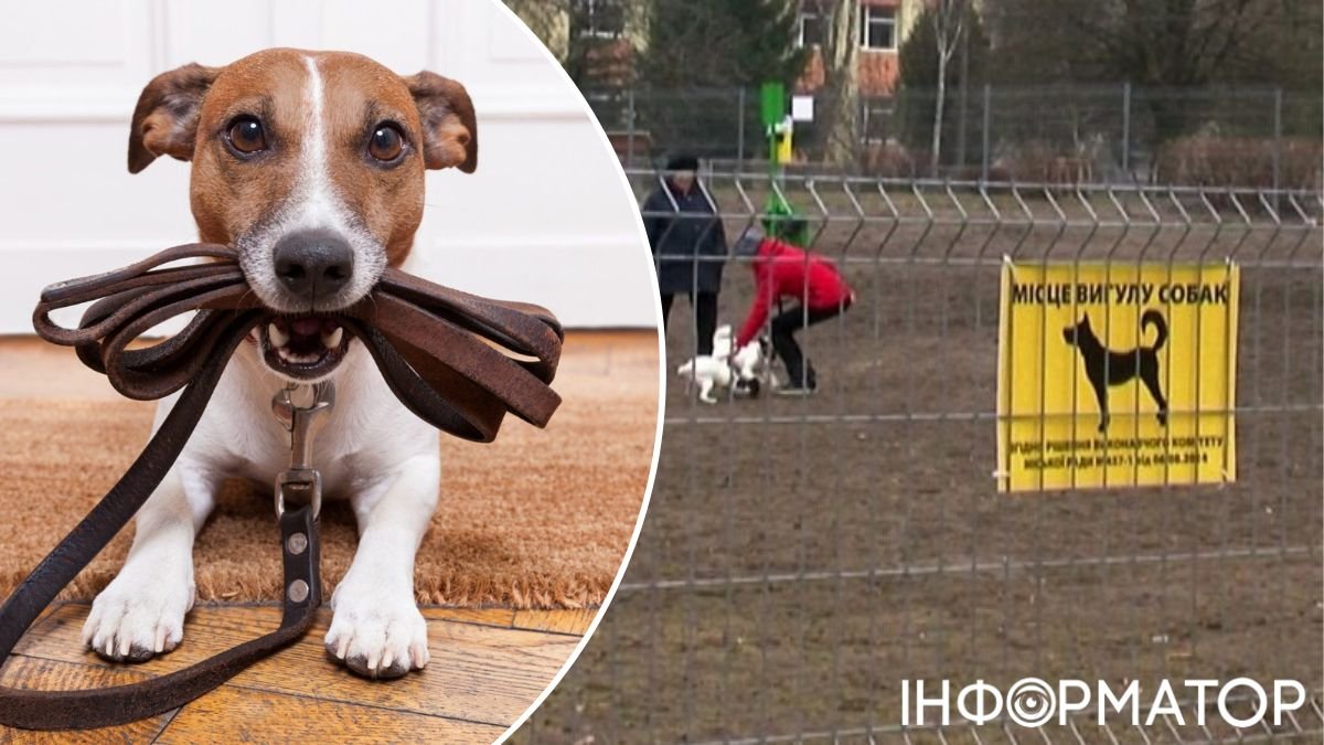 В Куреневском парке Киева обустроят зону для выгула собак: где будет локация