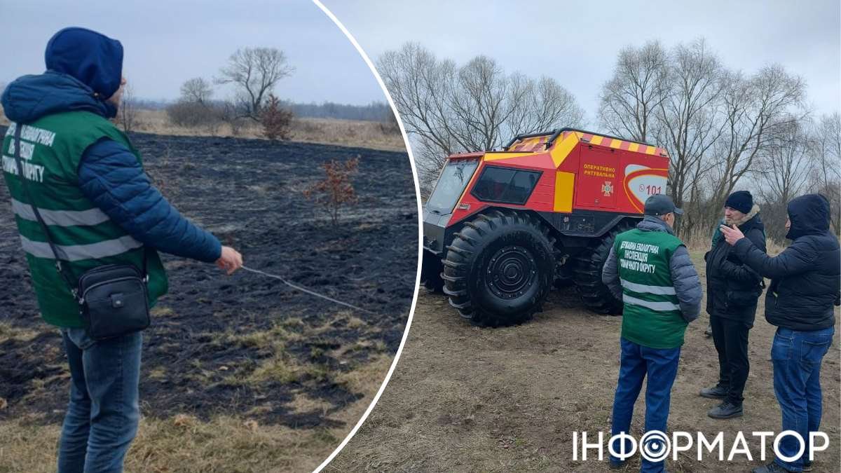Пожар в природоохранной зоне Киева