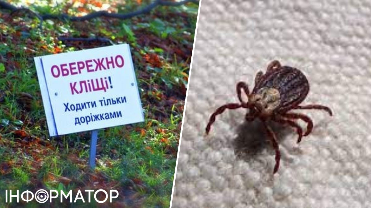 Тепла зима може активізувати кліщів: які парки в Києві найбільш небезпечні