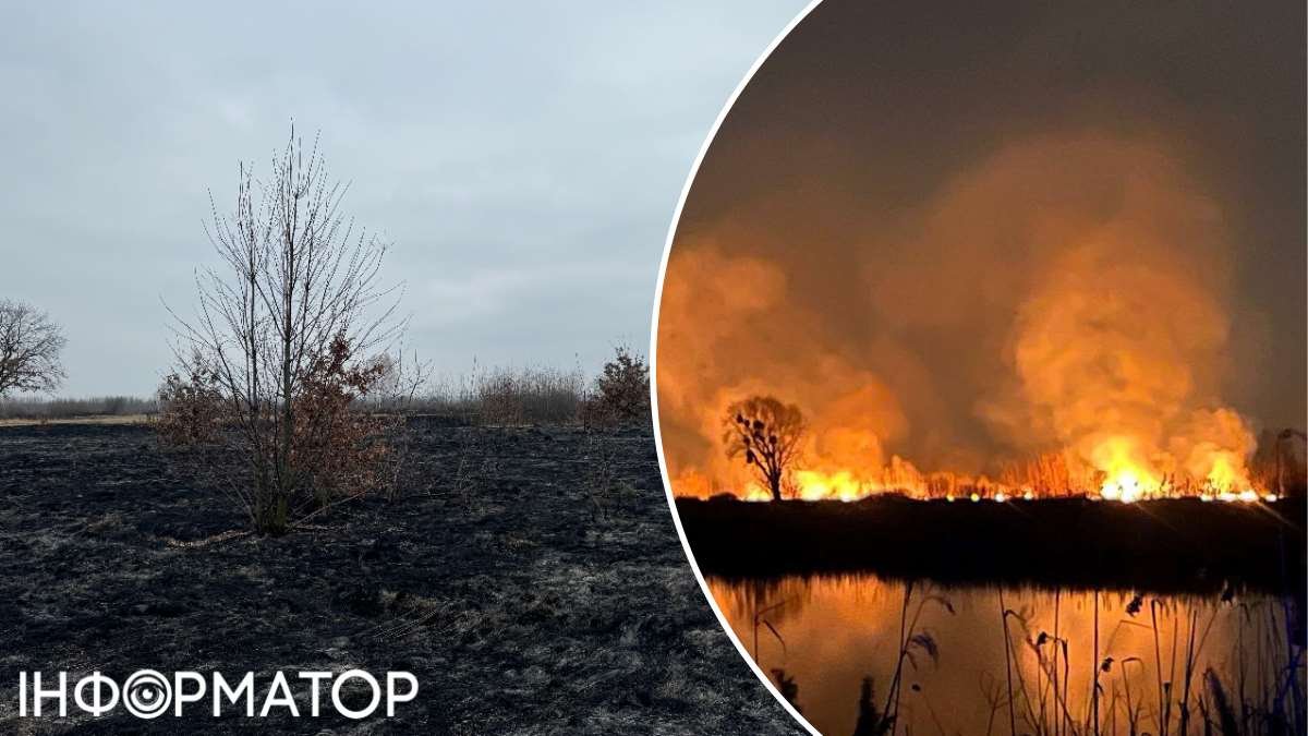 Пожар на территориях заповедного фонда в Киеве