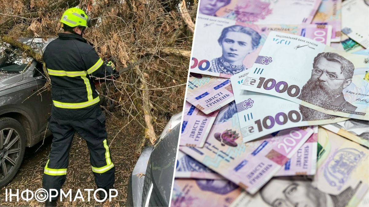 У Києві на автівку чоловіка біля будинку впало дерево - чи призначив столичний суд компенсацію у 298 495 гривень