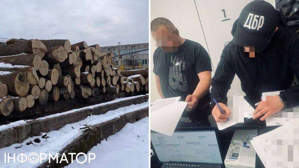 Под Чернобылем вырубили почти две сотни столетних дубов - транспорт со срубленной древесиной сопровождал правоохранитель