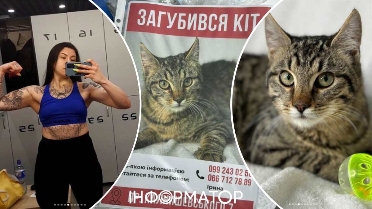 Жорстоке поводження з тваринами у Києві