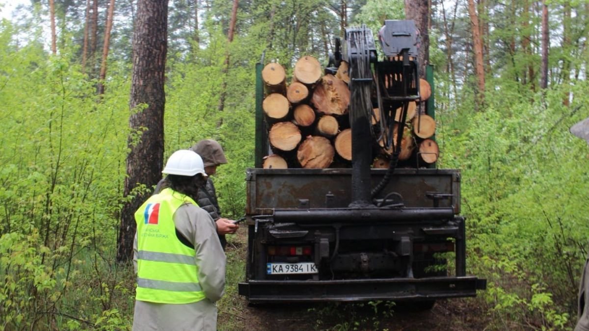 Агенты УЭБ проконтролировали отгрузку реализованной необработанной древесины в Киевской области