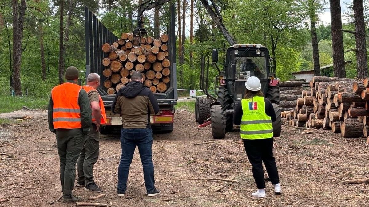Агенты УЭБ осуществили контроль передачи реализованной необработанной древесины покупателю в Киевской области