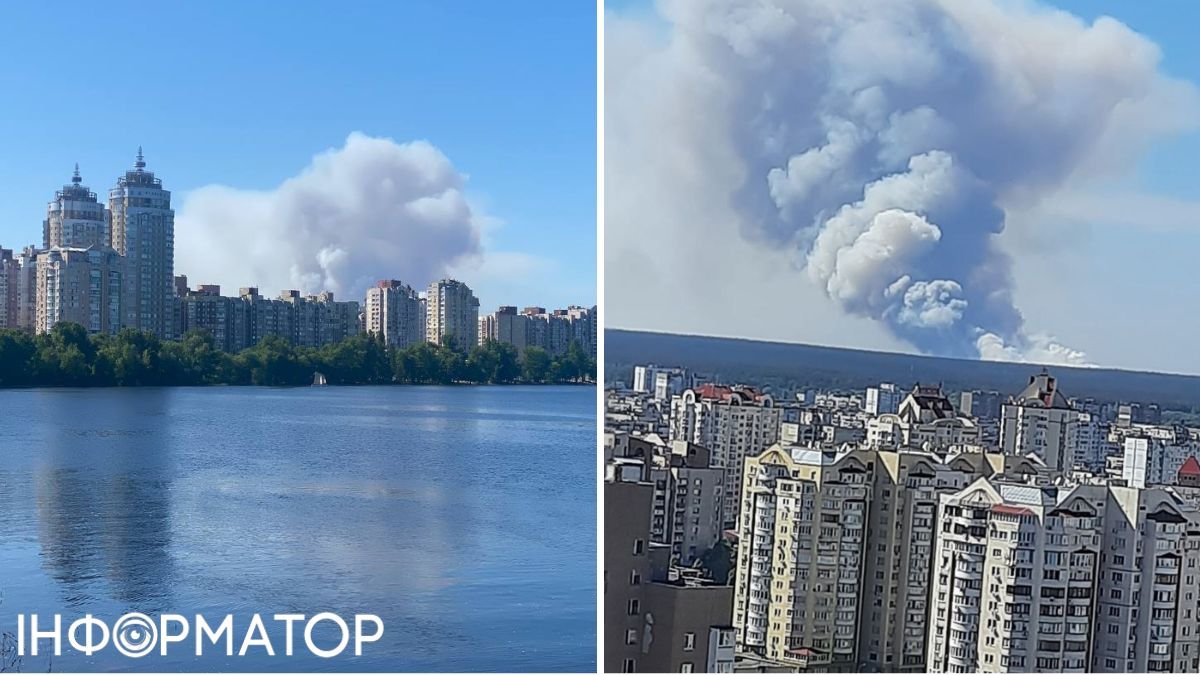 Пожар в Киевской области