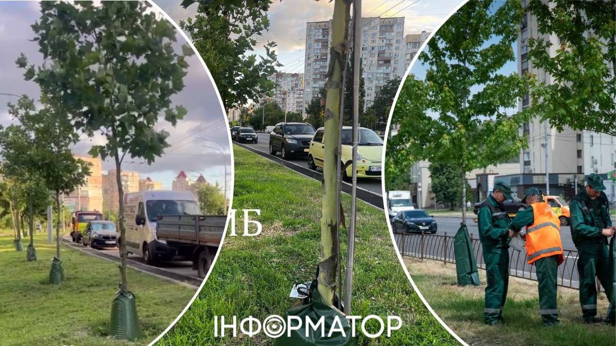 Технології поливу дерев КМДА Київрада Департамент захисту довкілля Возний