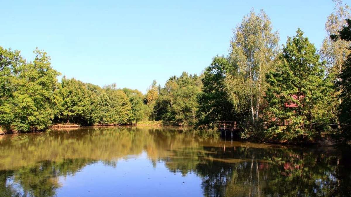 5 місць для сімейного відпочинку неподалік Коломиї