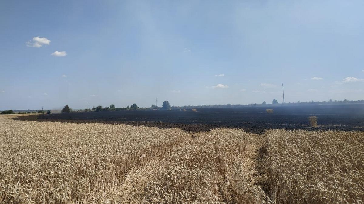 У Семаківцях горіло 3 гектари пшениці