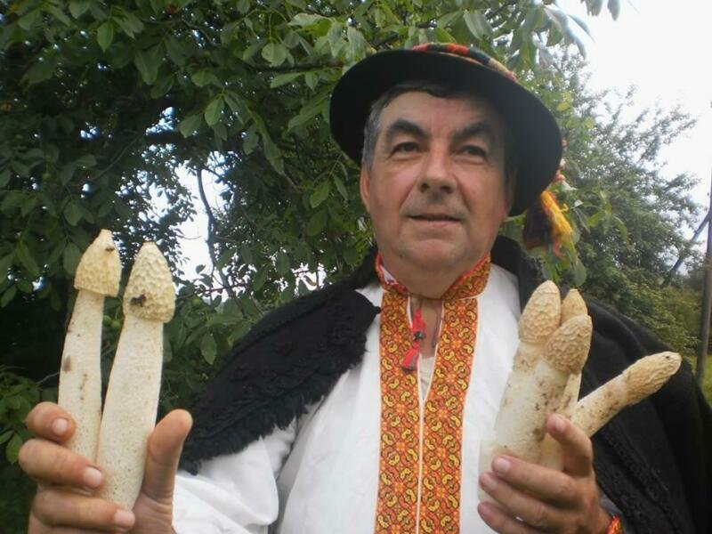 Мешканець Космача знайшов екзотичного гриба-веселку 1