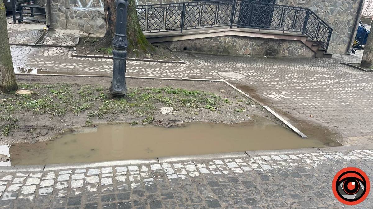 Мешканці бульвару Лесі Українки просять полатати ями 3