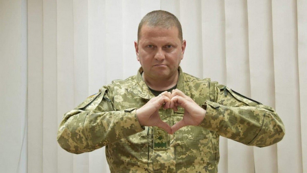 Волонтери Коломиї замінили цілу гілку влади