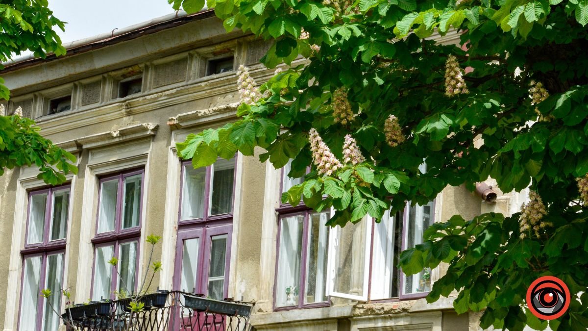 Куди піти у Коломиї 20 травня?
