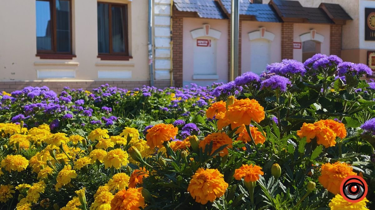 Куди піти у Коломиї 2 вересня