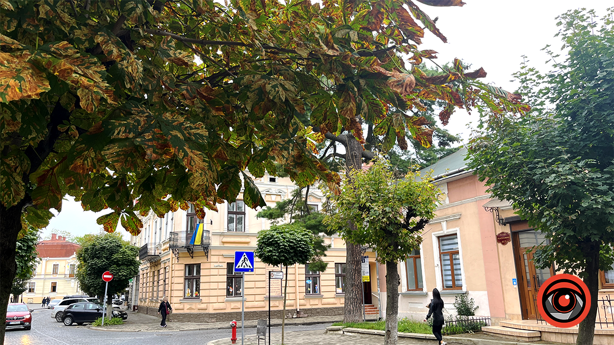 Куди піти в Коломиї 16 жовтня