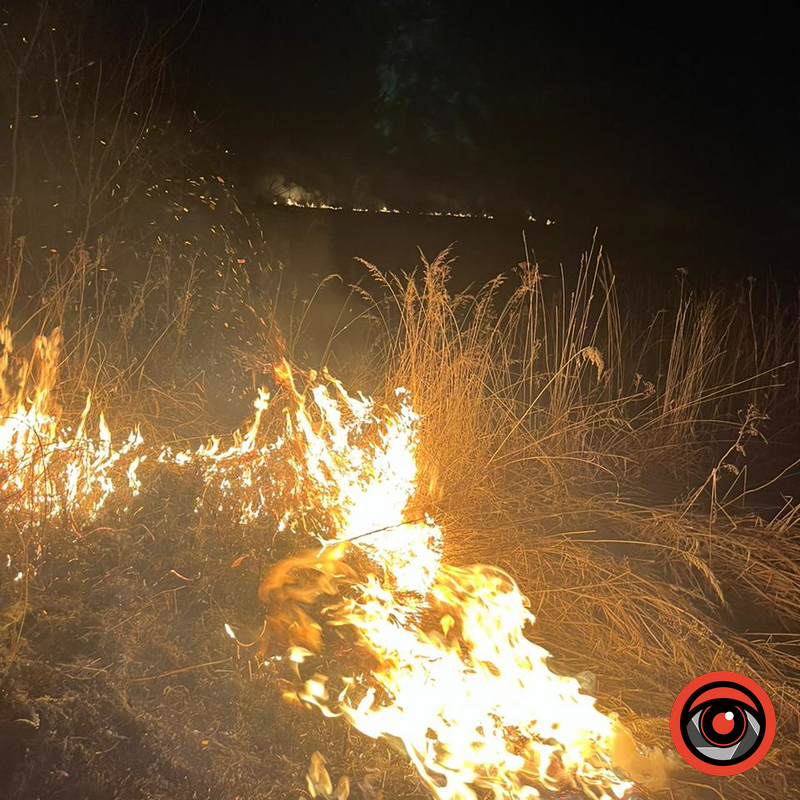 У Коломиї гасили пожежу біля сміттєзвалища 1