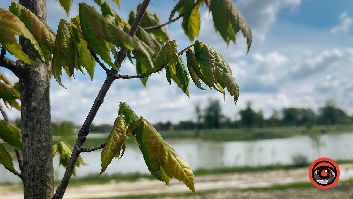Прогулянка міським озером неподалік парку Шевченка | Фоторепортаж