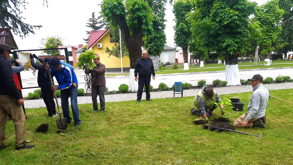 У Обертині висадили саджанці дуба в пам'ять про Героїв 2