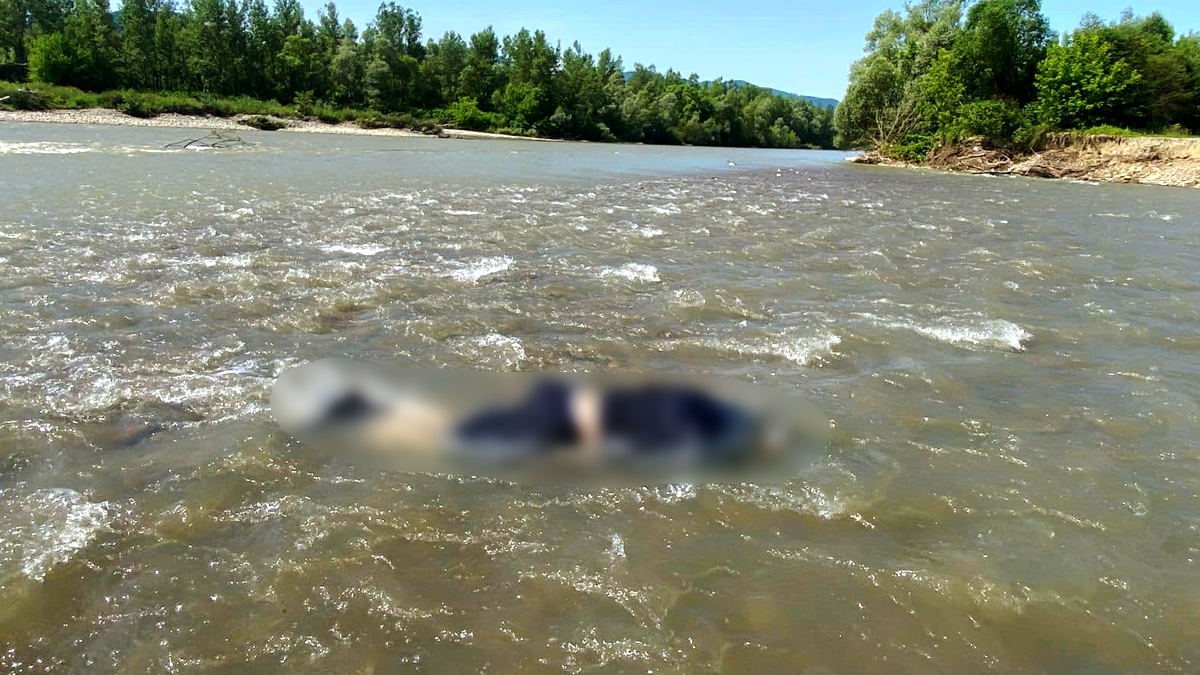 У Тисі виявили тіло 49-річного чоловіка