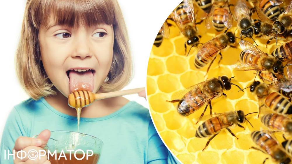 мед, бджоли