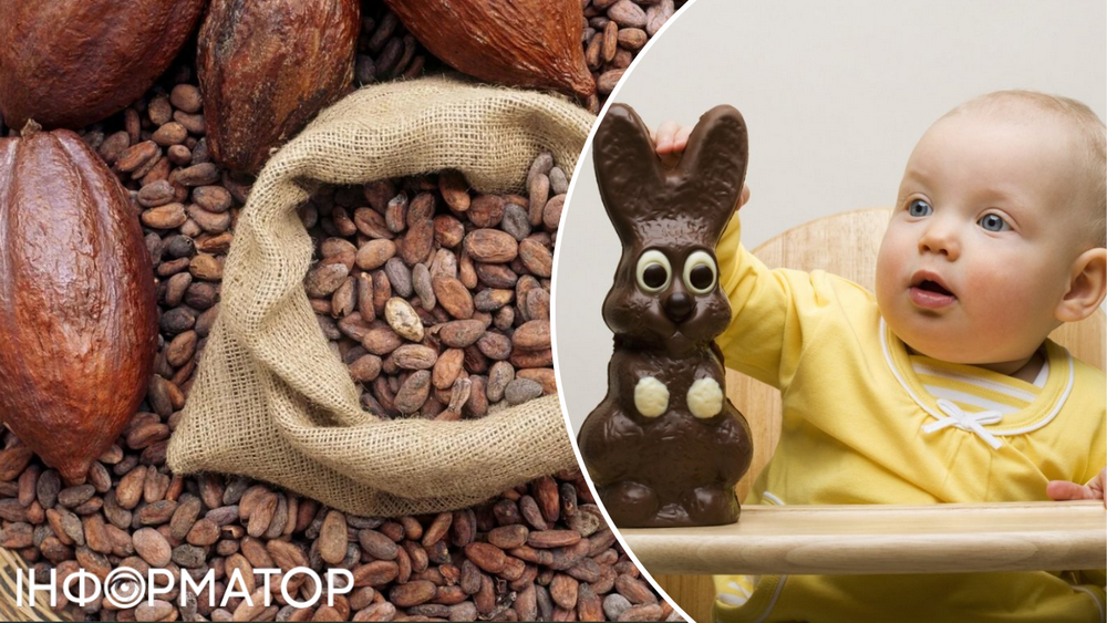 Цены на какао и шоколад взлетят из-за проклятого Эль-Ниньо