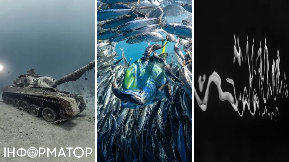 Могила на дні океану стала найкращою підводною фотографією року
