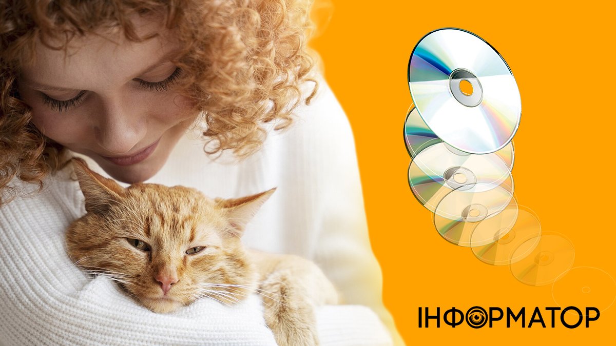 Яке сьогодні, 2 березня, свято - Міжнародний день порятунку котів та компакт-диску