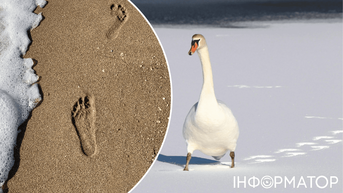 Почему снег и песок скрипят под ногами: ответ науки