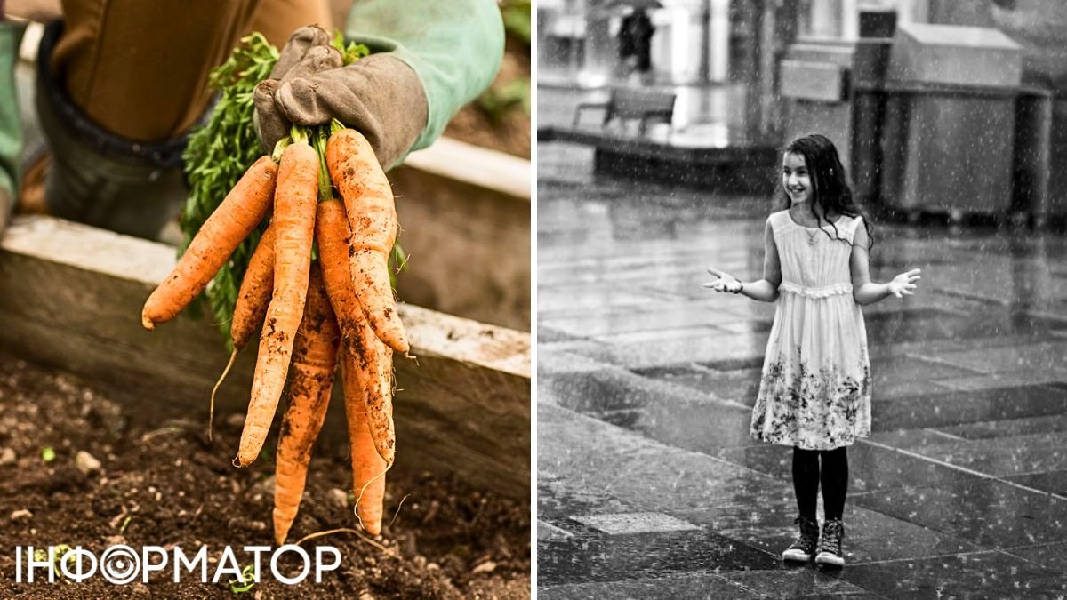 Прикмети і заборони на 18 квітня: треба помити голову під дощем і посадити моркву