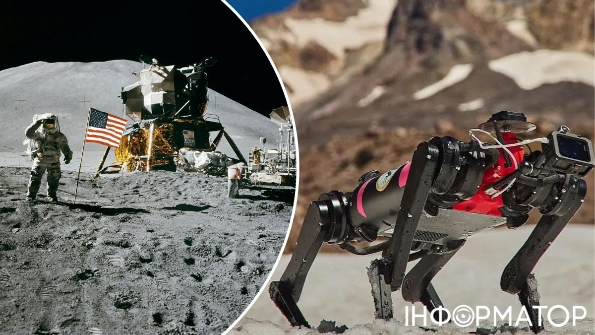 Собаки, роботы, животные, робототехника, Луна, NASA